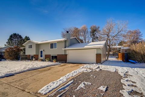 312 Olympus Cir, Lone Tree, CO 80124 photo 23