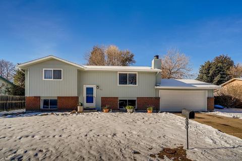312 Olympus Cir, Lone Tree, CO 80124 photo 22