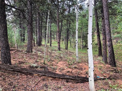 24 Hayes St, Bailey, CO 80421 photo 2