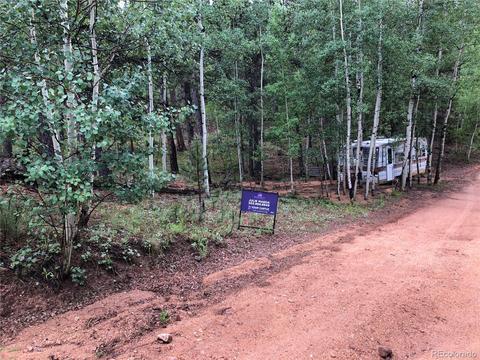 24 Hayes St, Bailey, CO 80421 photo 1
