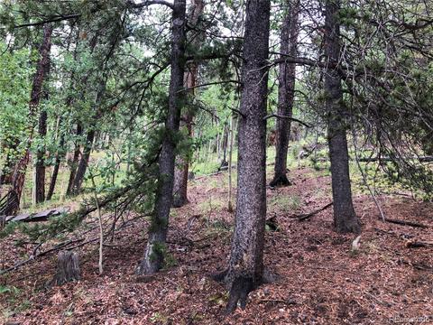 24 Hayes St, Bailey, CO 80421 photo 4