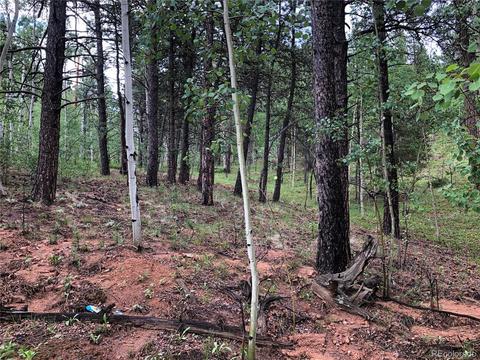 24 Hayes St, Bailey, CO 80421 photo 3