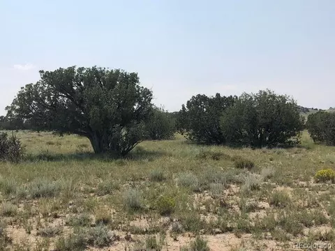 Lot 9 Longhorn Ranch, Model, CO 81059