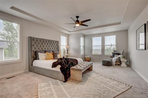 20272 E Lake Ave, Centennial, CO 80016 photo 17