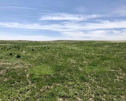 41383 Bijou View St, Agate, CO 80101 photo 1