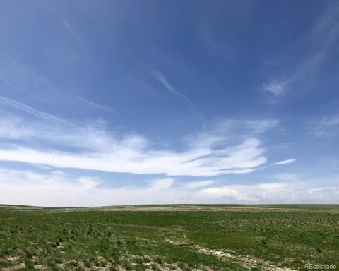 41383 Bijou View St, Agate, CO 80101 photo 12