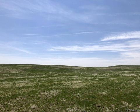 41383 Bijou View St, Agate, CO 80101 photo 14