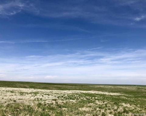 41383 Bijou View St, Agate, CO 80101 photo 15