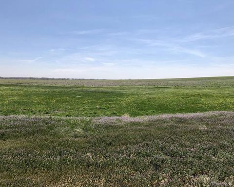 41383 Bijou View St, Agate, CO 80101 photo 6