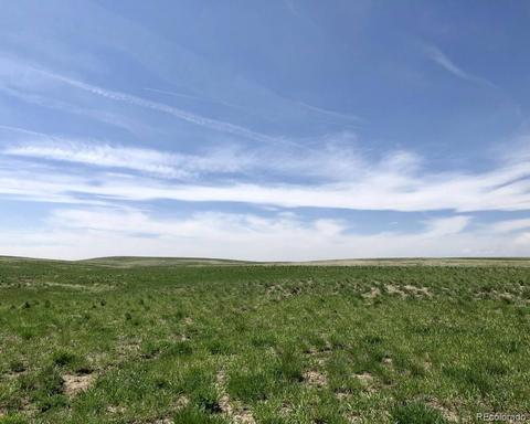 41383 Bijou View St, Agate, CO 80101 photo 11