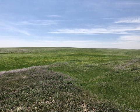 41383 Bijou View St, Agate, CO 80101 photo 2