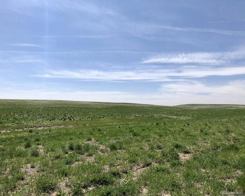 41383 Bijou View St, Agate, CO 80101 photo 10