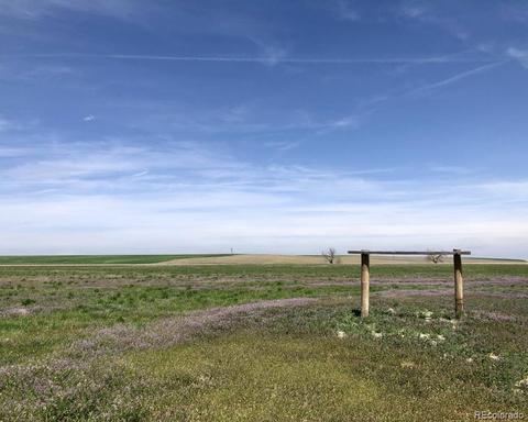 41383 Bijou View St, Agate, CO 80101 photo 9