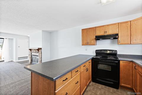 4266 S Eldridge St #206, Morrison, CO 80465 photo 5