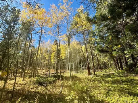 00 Lone Ponderosa Dr, Black Hawk, CO 80422