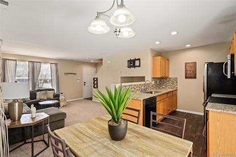 5515 E 100th Dr, Thornton, CO 80229 photo 10