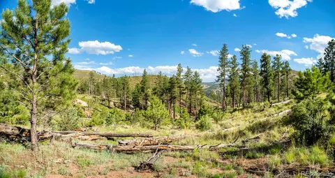 Cochise Trail, Pine, CO 80470 photo 10