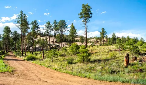 Cochise Trail, Pine, CO 80470 photo 2