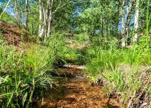 Cochise Trail, Pine, CO 80470 photo 6