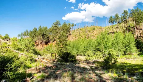 Cochise Trail, Pine, CO 80470 photo 4