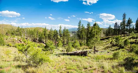 Cochise Trail, Pine, CO 80470 photo 12