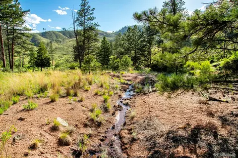 Cochise Trail, Pine, CO 80470 photo 5