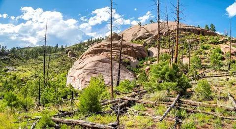 Cochise Trail, Pine, CO 80470 photo 8