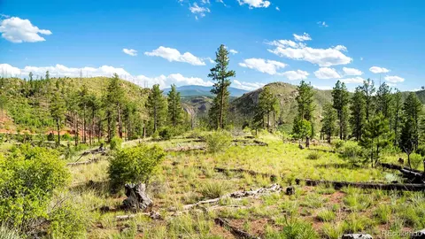 Cochise Trail, Pine, CO 80470 photo 7