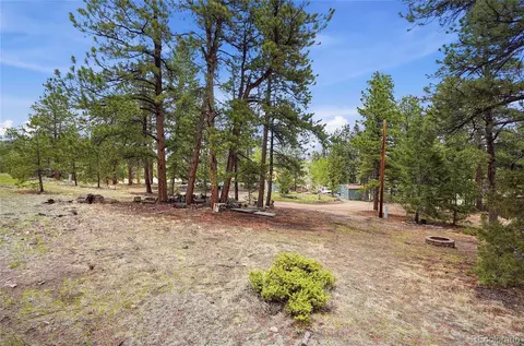 Exterior - 14032 S Olive Ave, Pine, CO 80470 photo 8 of 12