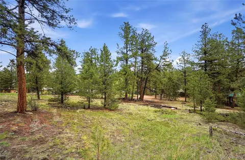 Other - 14032 S Olive Ave, Pine, CO 80470 photo 9 of 16