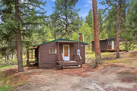 14032 S Olive Ave, Pine, CO 80470