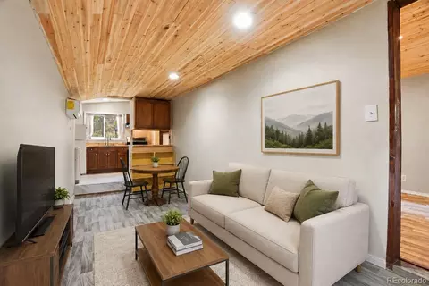 Other - 14032 S Olive Ave, Pine, CO 80470 photo 3 of 16