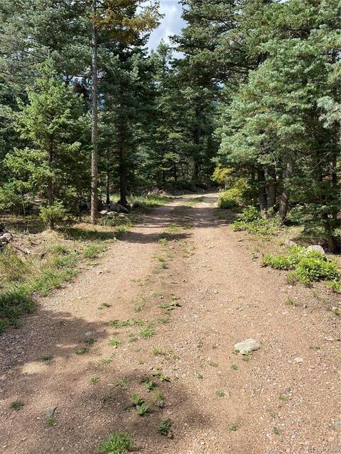 8325 Hess Dr, Rye, CO 81069 photo 32
