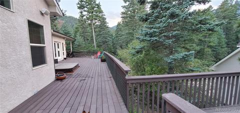 8325 Hess Dr, Rye, CO 81069 photo 26