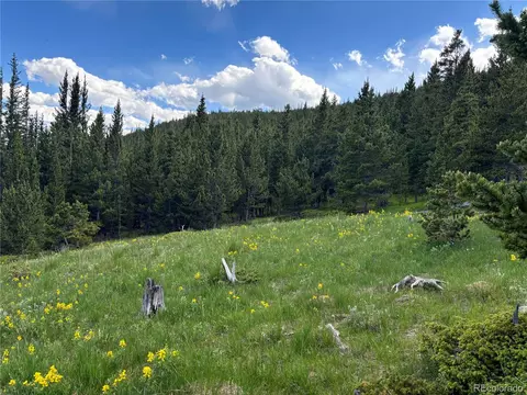 Hilltop Road, Idaho Springs, CO 80452