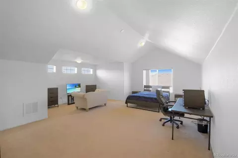 21229 E 50th Ave, Denver, CO 80249 photo 43