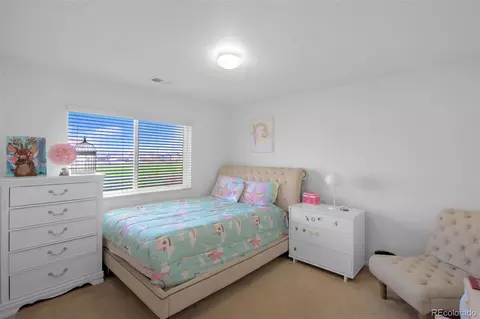 21229 E 50th Ave, Denver, CO 80249 photo 40