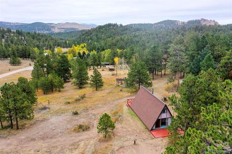 274 Chickadee Ln, Bailey, CO 80421 photo 1