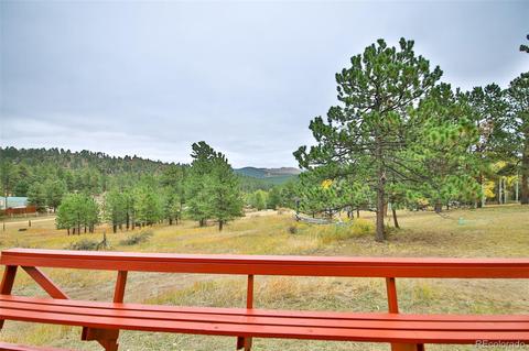 274 Chickadee Ln, Bailey, CO 80421 photo 8