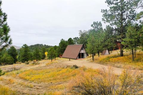 274 Chickadee Ln, Bailey, CO 80421 photo 9