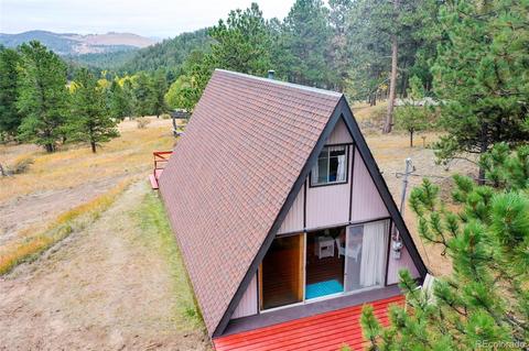 274 Chickadee Ln, Bailey, CO 80421 photo 11