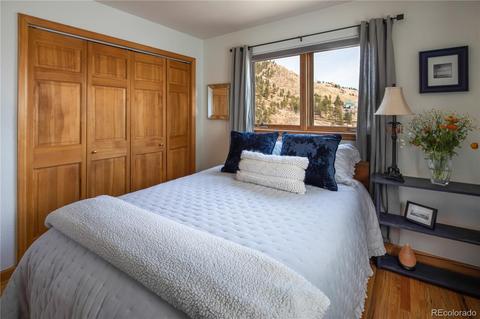 15958 Ouray Rd, Pine, CO 80470 photo 18