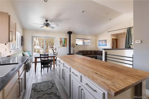 15958 Ouray Rd, Pine, CO 80470 photo 11