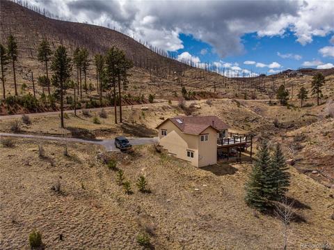 15958 Ouray Rd, Pine, CO 80470 photo 4