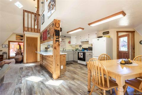 1045 S Pine Dr, Bailey, CO 80421 photo 13