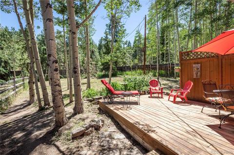 1045 S Pine Dr, Bailey, CO 80421 photo 6