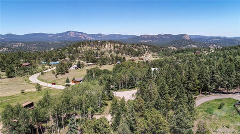 1045 S Pine Dr, Bailey, CO 80421 photo 35