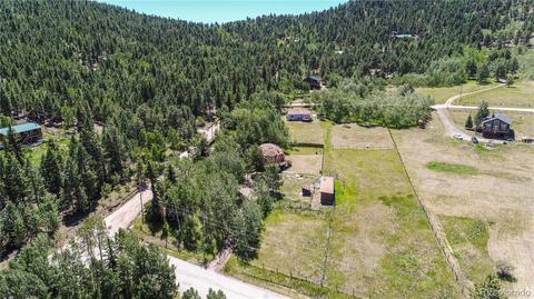 1045 S Pine Dr, Bailey, CO 80421 photo 37