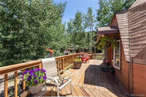 1045 S Pine Dr, Bailey, CO 80421 photo 1