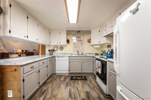 1045 S Pine Dr, Bailey, CO 80421 photo 9